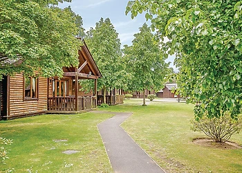 The park setting 