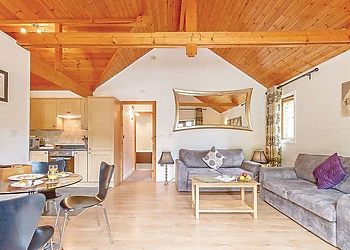 Cobbett Contemporary Premier 