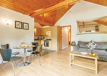 Cobbett Contemporary Premier 