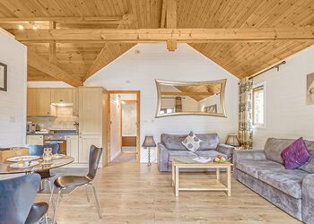 Cobbett Contemporary Premier - Tilford Woods Lodge Retreat, Tilford, Farnham