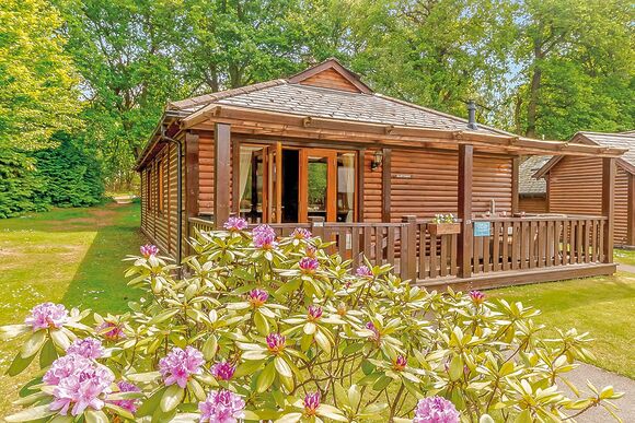 Hawthorn Lodge - Tilford Woods Lodge Retreat, Tilford, Farnham