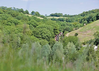 The park setting