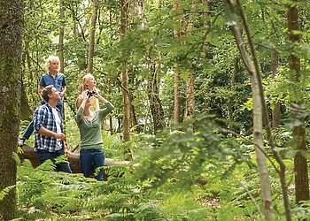Woodland walks