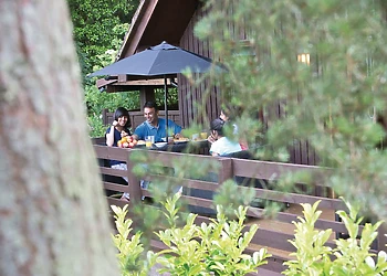 Typical Woodland Lodge