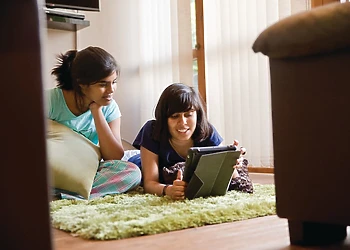 Typical Woodland Lodge