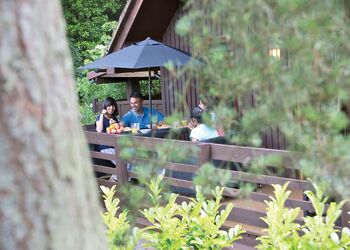 Woodland Lodge - Exmoor Gate Lodges, Waterrow, Wiveliscombe