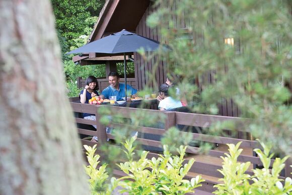 Woodland Lodge - Exmoor Gate Lodges, Waterrow, Wiveliscombe