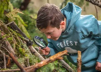 Thorpe Forest Lodges, Thetford Forest