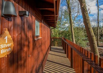 Silver Birch 2 WF - Thorpe Forest Lodges, Thetford Forest