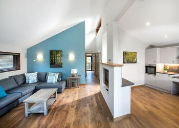 Silver Birch 2 WF - Thorpe Forest Lodges, Thetford Forest