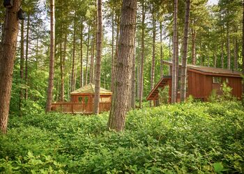 Golden Oak Treehouse, Golden Oak Treehouse - Thorpe Forest Lodges, Thetford Forest