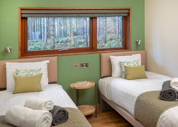 Golden Oak 4, Golden Oak 4 - Thorpe Forest Lodges, Thetford Forest