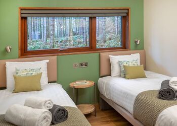 Golden Oak Treehouse, Golden Oak Treehouse - Thorpe Forest Lodges, Thetford Forest