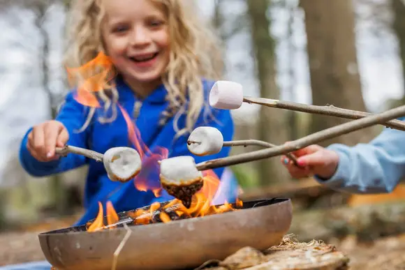 Thorpe Forest Lodges, Thetford Forest