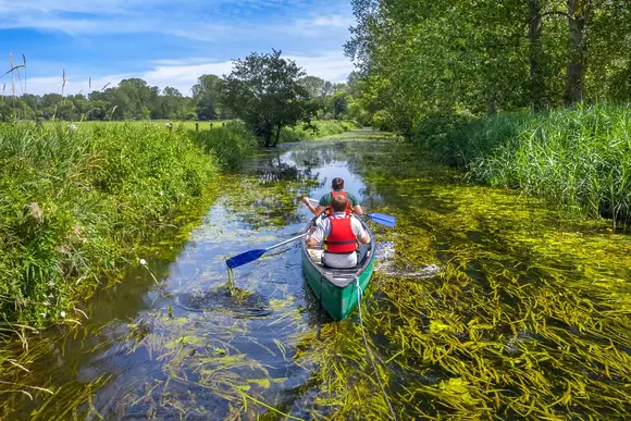 Thorpe Forest Lodges, Thetford Forest