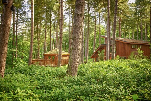 Golden Oak Treehouse, Golden Oak Treehouse - Thorpe Forest Lodges, Thetford Forest