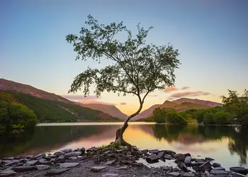 Trawsfynydd Leisure Village, Blaenau Ffestiniog