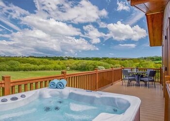 Willow Lodge 3 - Meadow Lakes Holiday Park, Nr St Austell