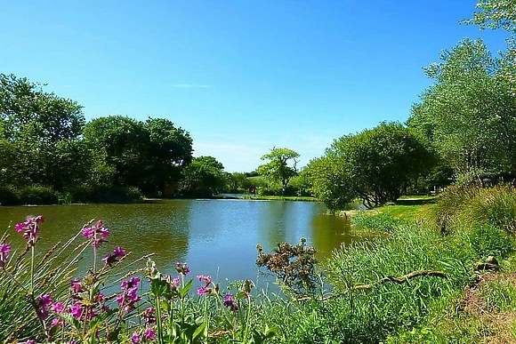 Meadow Lakes Holiday Park, Nr St Austell