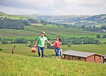 Trewythen Lodges, Llandinam, Powys