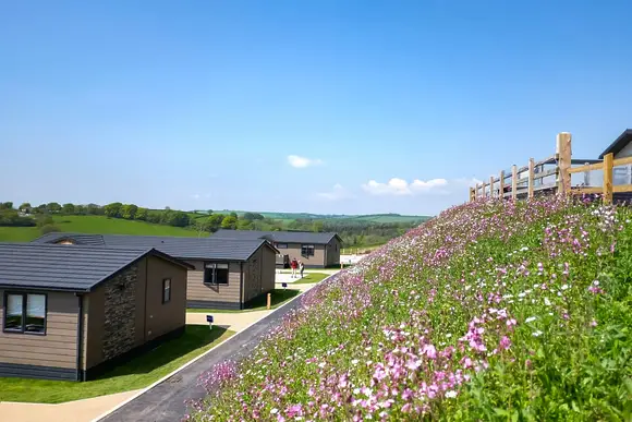 Tregoad Holiday Park, Looe