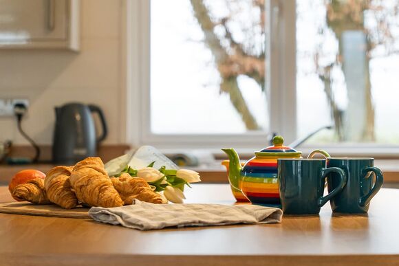 Tregoad Lodge 2 Pet - Tregoad Holiday Park, Looe