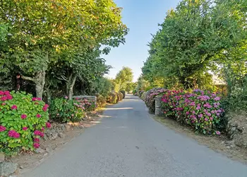 Trevella Holiday Park photo 8