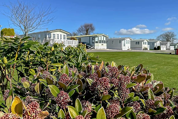 Trelay Holiday Park, Pelynt Nr Looe