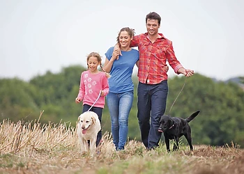 Romansleigh Retreat, South Molton, nr Barnstaple