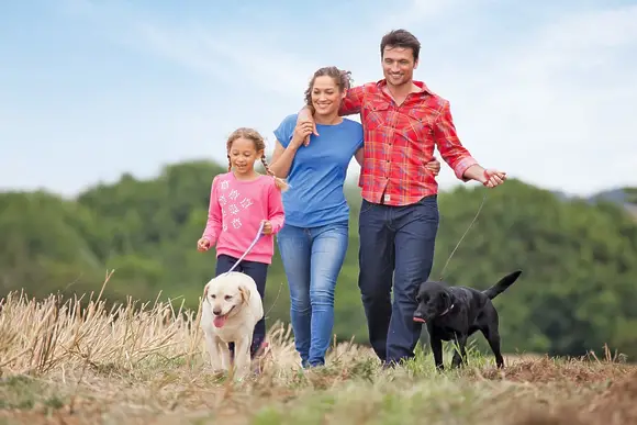 Romansleigh Retreat, South Molton, nr Barnstaple