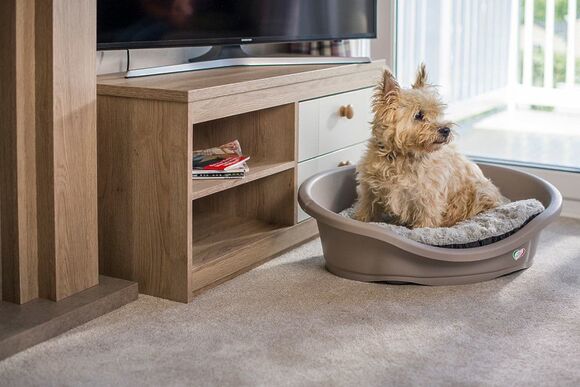 Stylish Comfort 3 (Pet) - Trevornick Holiday Park, Holywell Bay