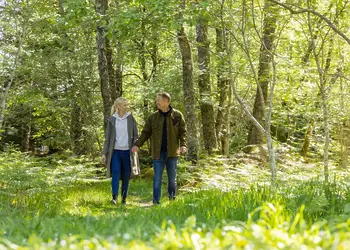 Tummel Valley, Pitlochry, Perthshire