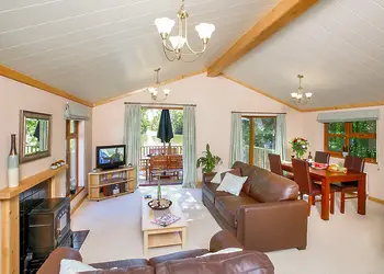 Typical Lakeside Elm