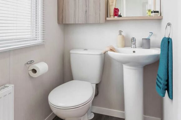 Sage Caravan 3 (Pets Welcome) - Viewfield Manor Holiday Park, Kilwinning,