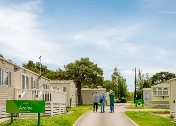Oakdene Forest, St Leonards, Ringwood