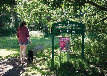 Access to the Hurn Forest on park