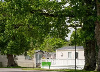 Oakdene Forest, St Leonards, Ringwood