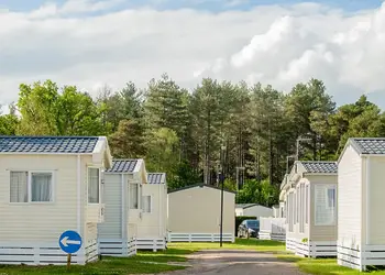 Oakdene Forest, St Leonards, Ringwood