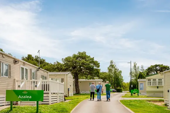 Oakdene Forest, St Leonards, Ringwood