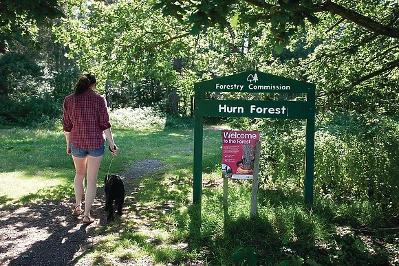 Access to the Hurn Forest on park