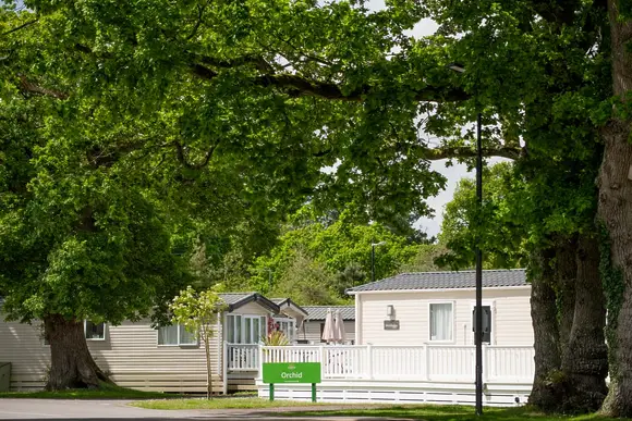 Oakdene Forest, St Leonards, Ringwood