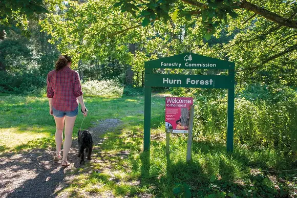 Access to the Hurn Forest on park