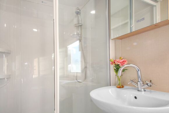 Statement 3 - Oakdene Forest, St Leonards, Ringwood