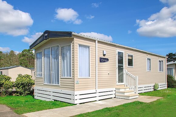 Sensation 3 (Pet) - Oakdene Forest, St Leonards, Ringwood