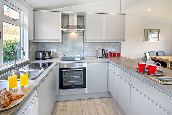 Superior Lodge Plus 3 (Pet) - Oakdene Forest, St Leonards, Ringwood