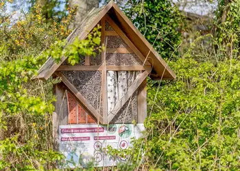 Wareham Forest Lodge Retreat, Holton Heath