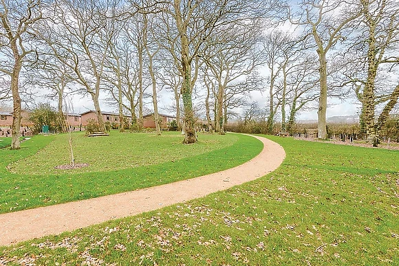 The park setting<br />