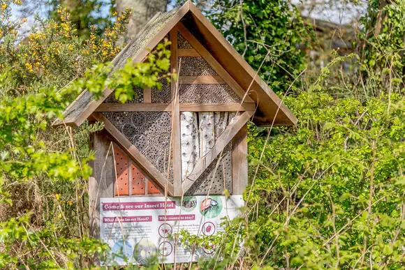 Wareham Forest Lodge Retreat, Holton Heath