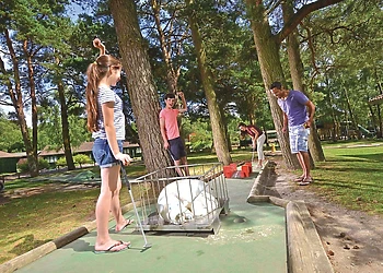 Crazy golf