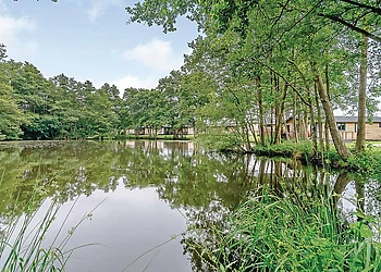 The park setting 